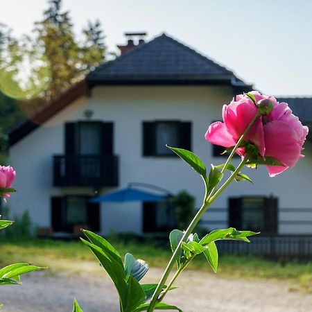 Apartments Zakrasnik Škofja Loka エクステリア 写真