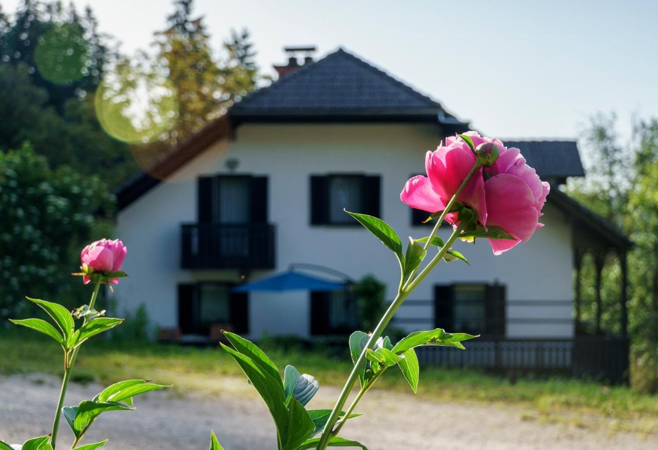 Apartments Zakrasnik Škofja Loka エクステリア 写真